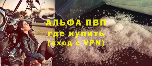 твердый Абаза