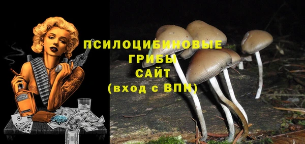 героин Новозыбков