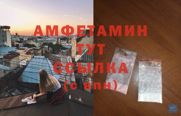 твердый Абаза