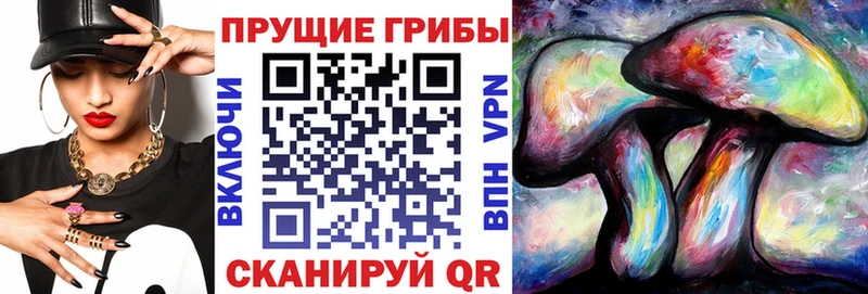 mega   Кимовск  Псилоцибиновые грибы ЛСД 